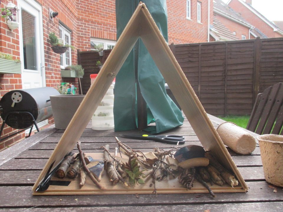 building a bughouse using twigs and materials from around the home