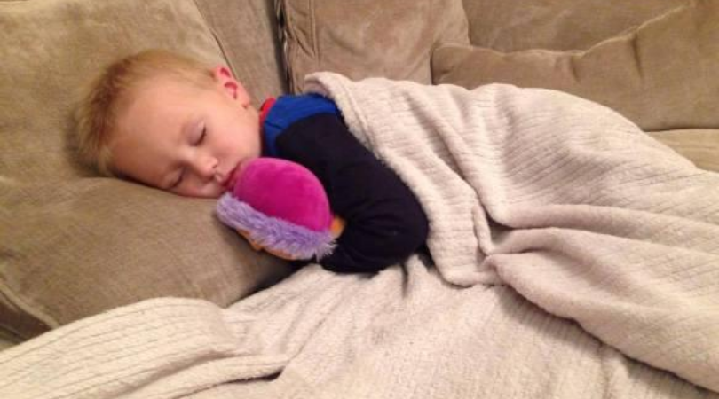 Jake asleep on the sofa cuddling a toy