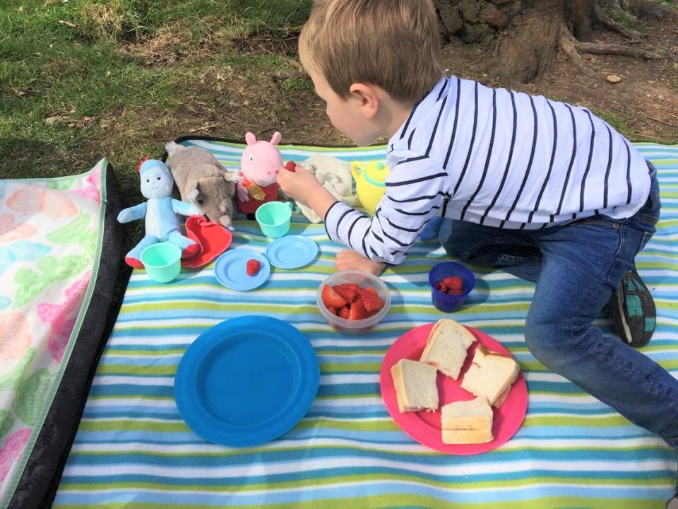 child having picnic with teddies