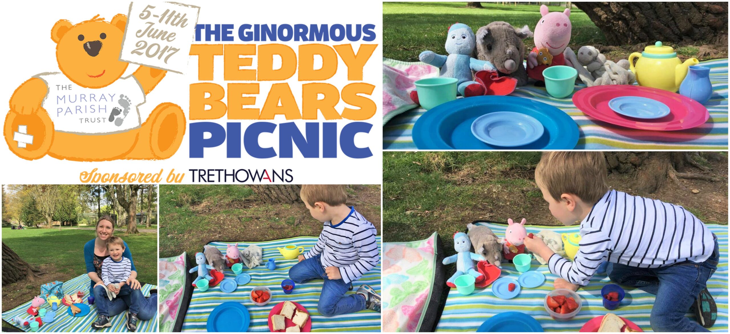 teddy bear's picnic feature post