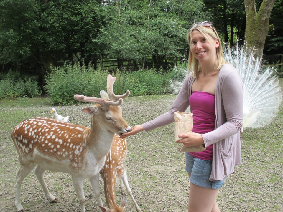 me feeding a deer