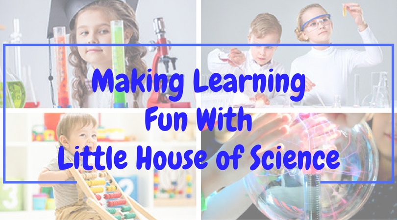 little house of science