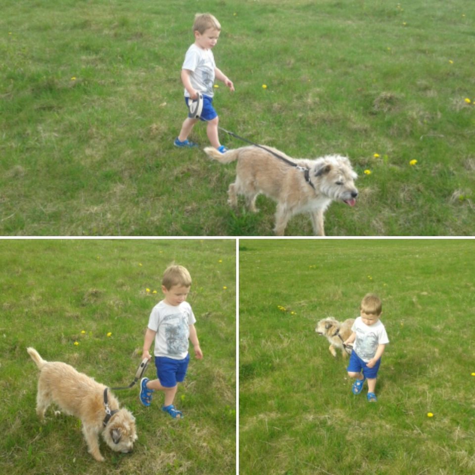 Jake walking Molly