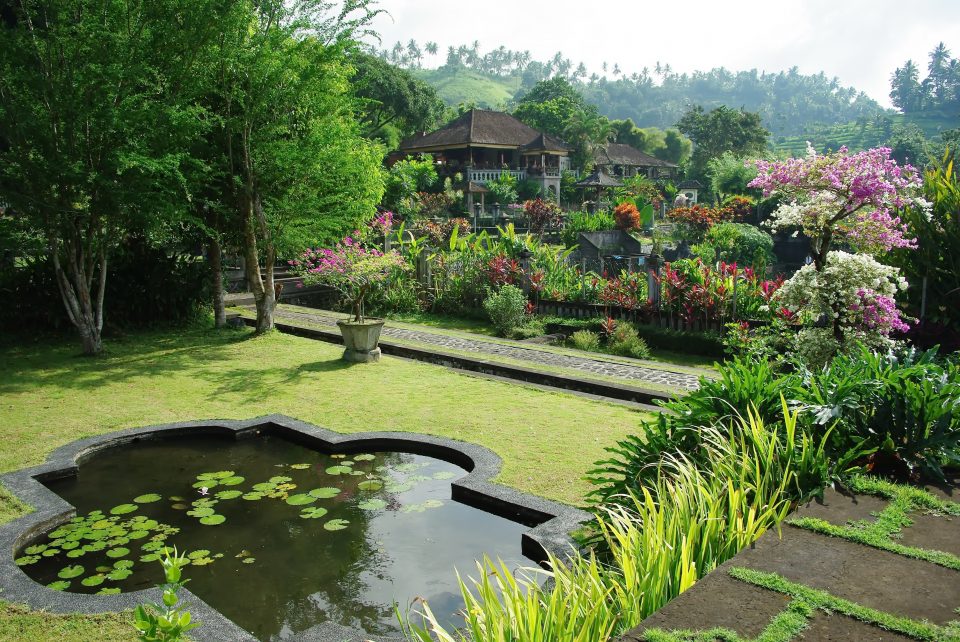 large garden with pond and flowers and plants