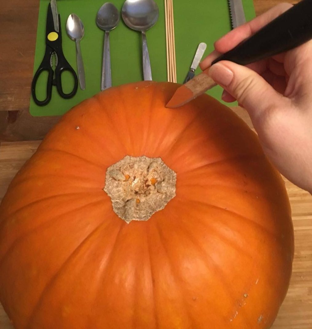 about to cut into the pumpkin