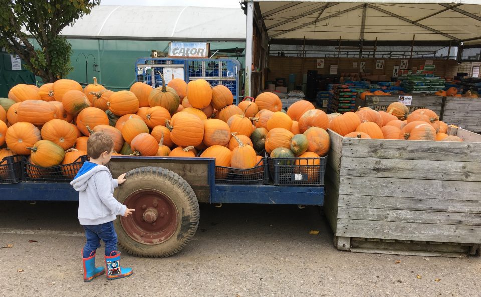 child next to pumpkins in a trailer