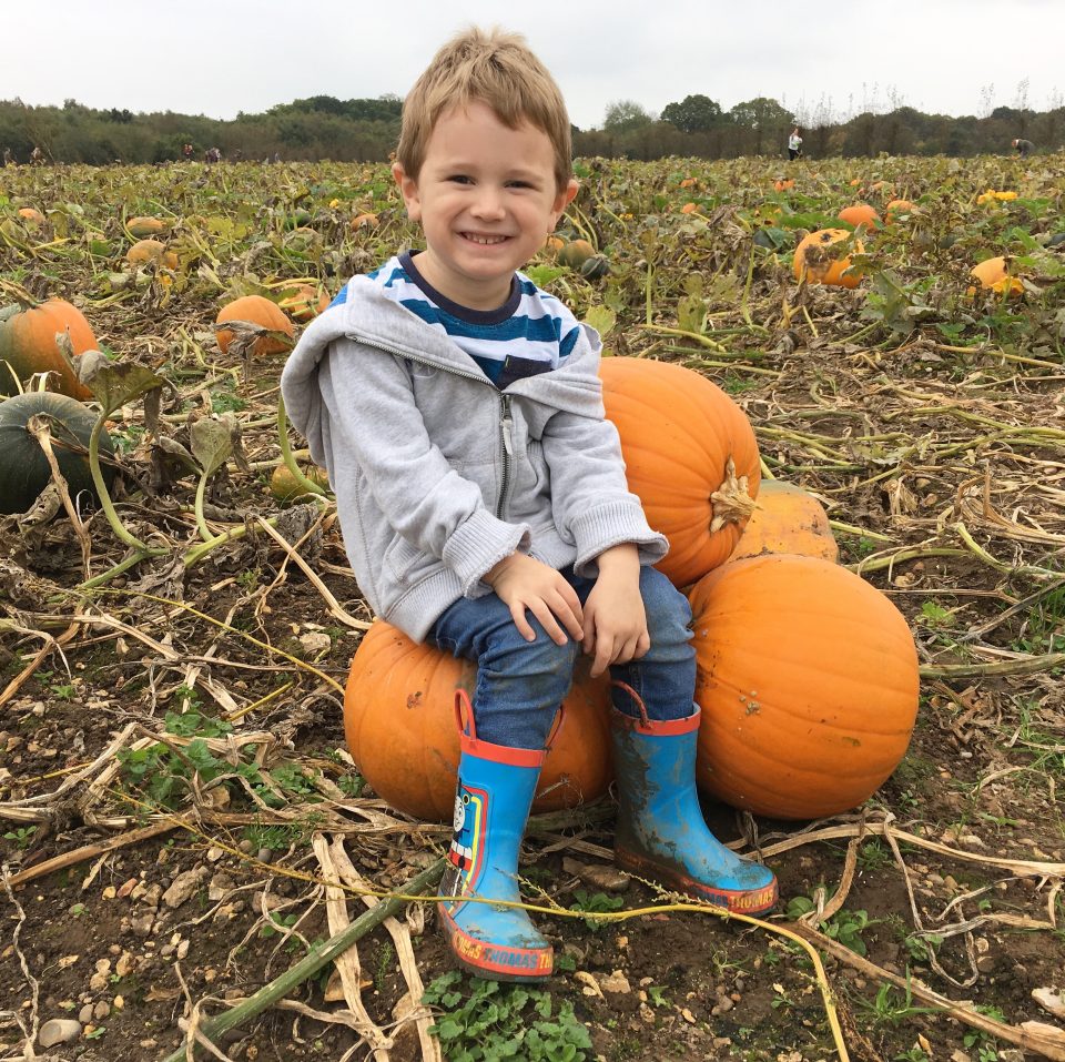 boy on pumpkins