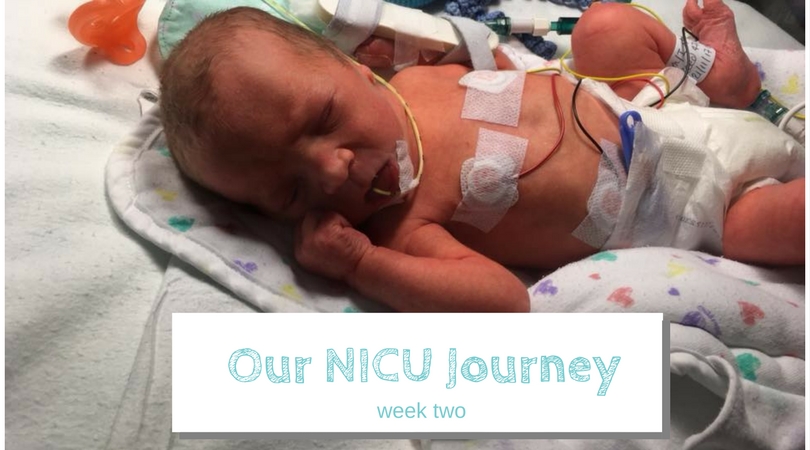 our nicu journey week two