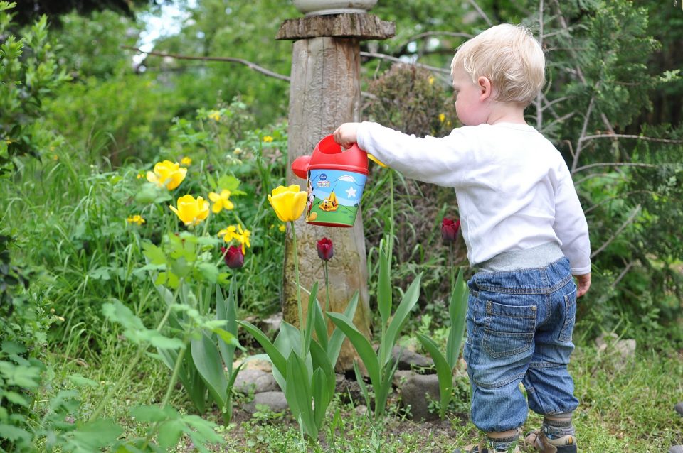 child watering the garden