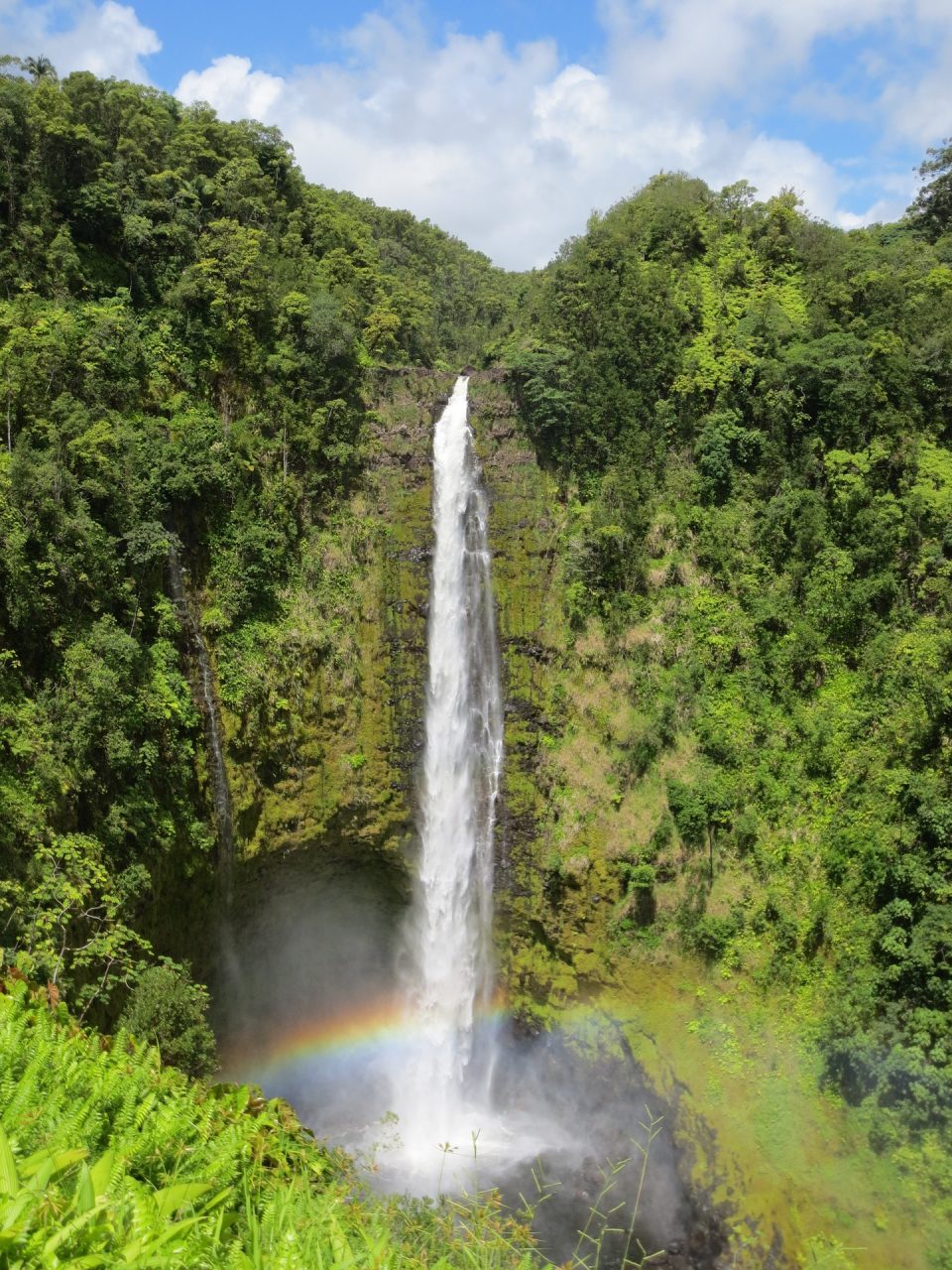 Akaka waterfall Hawaii