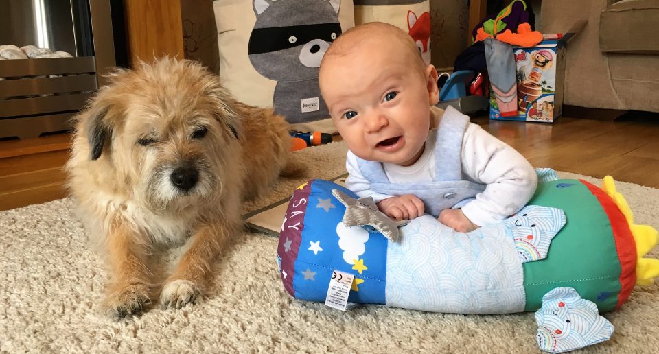 baby on tummy time toy next to a dog