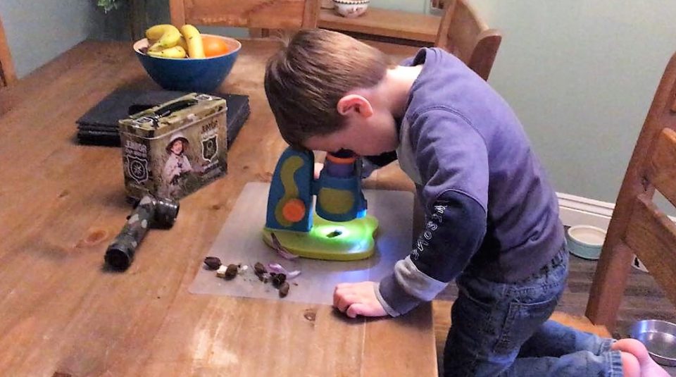 Jake looking through his new microscope to view his finds