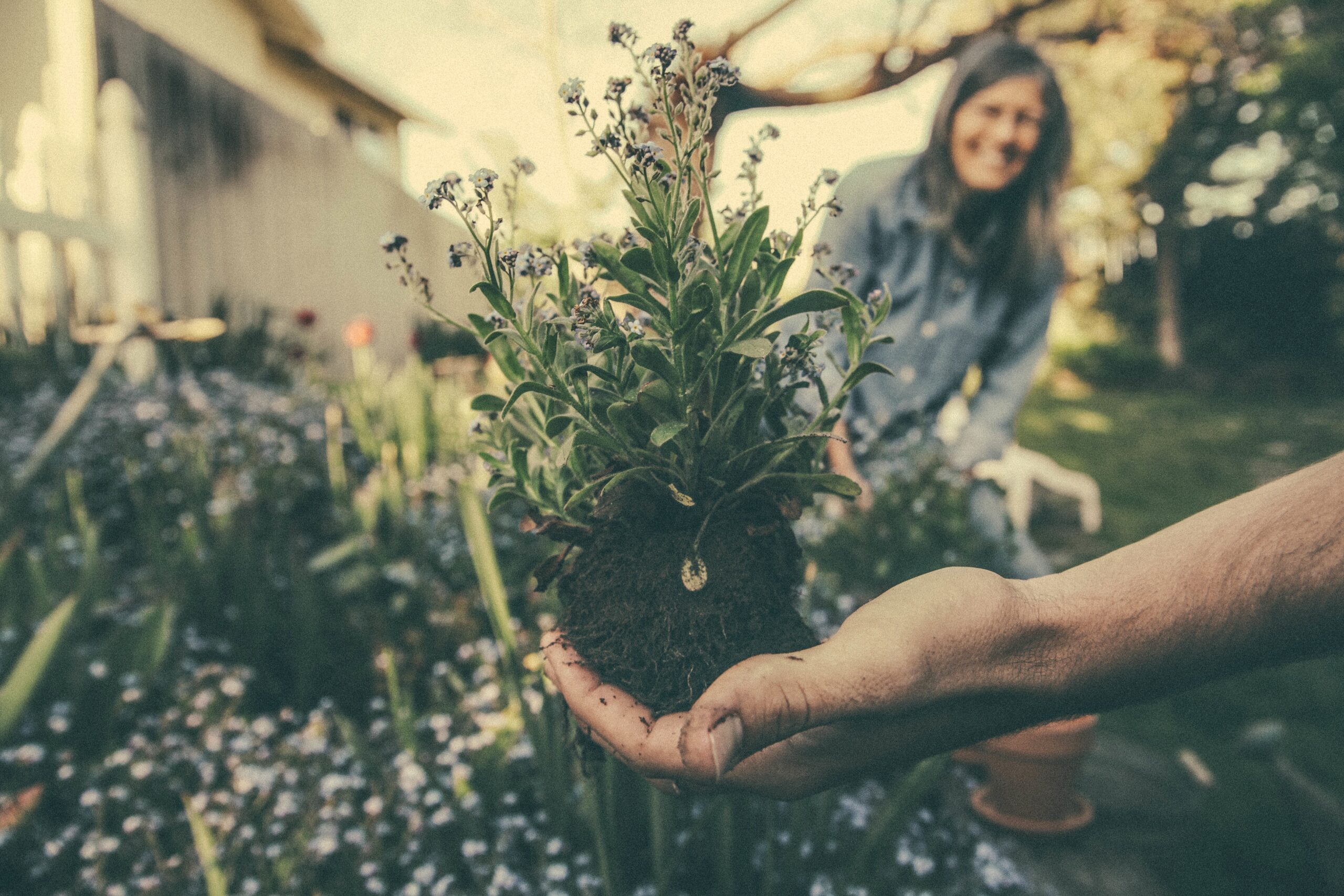 gardeners