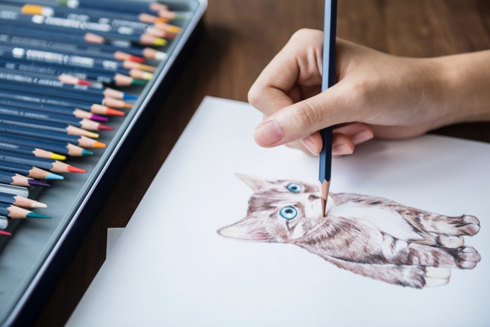 drawing of a cat