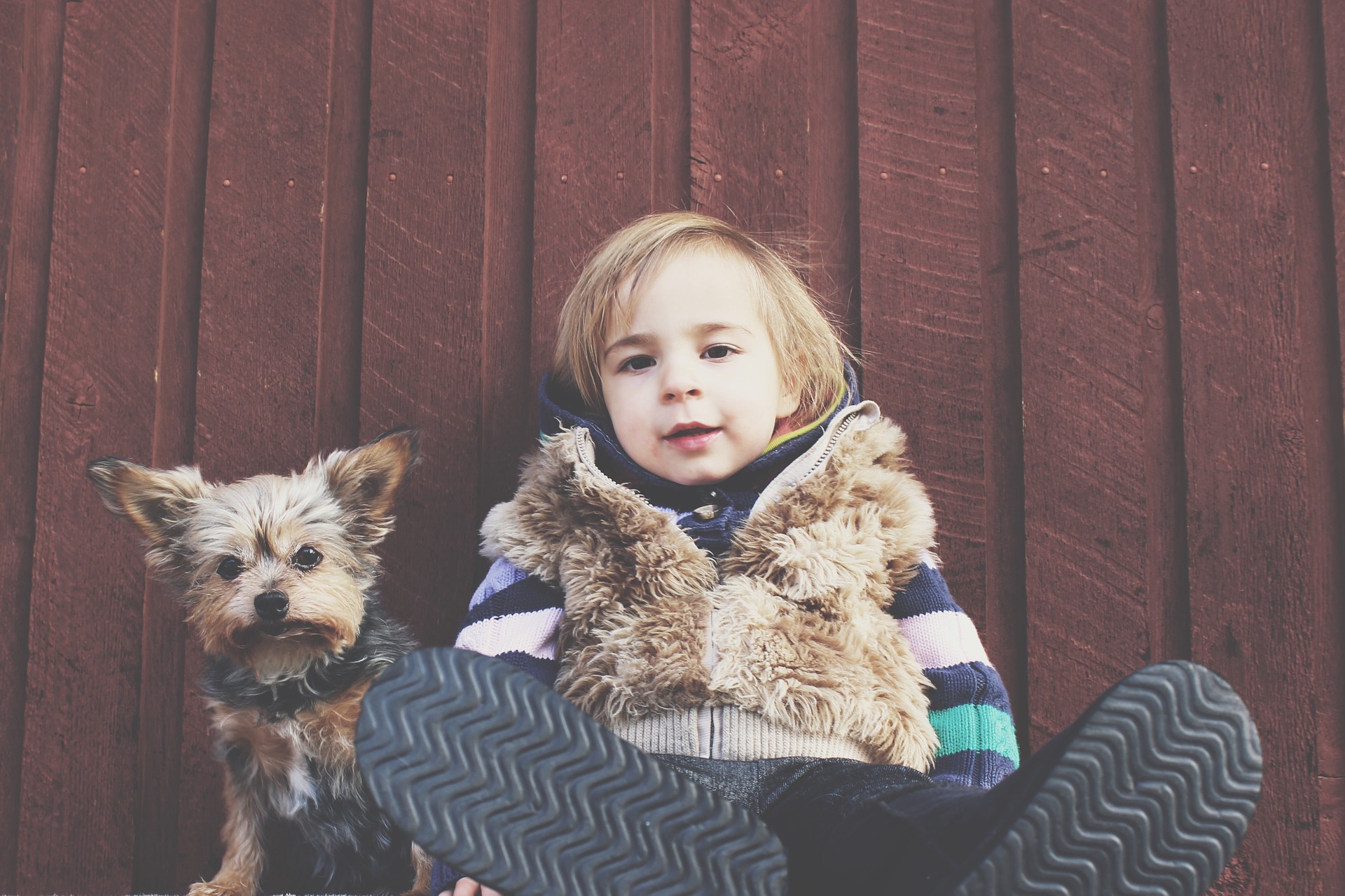 child and dog