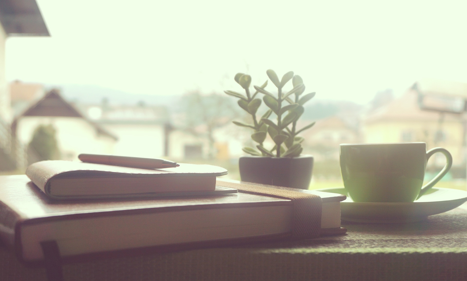 books, coffee and plant on a window sill