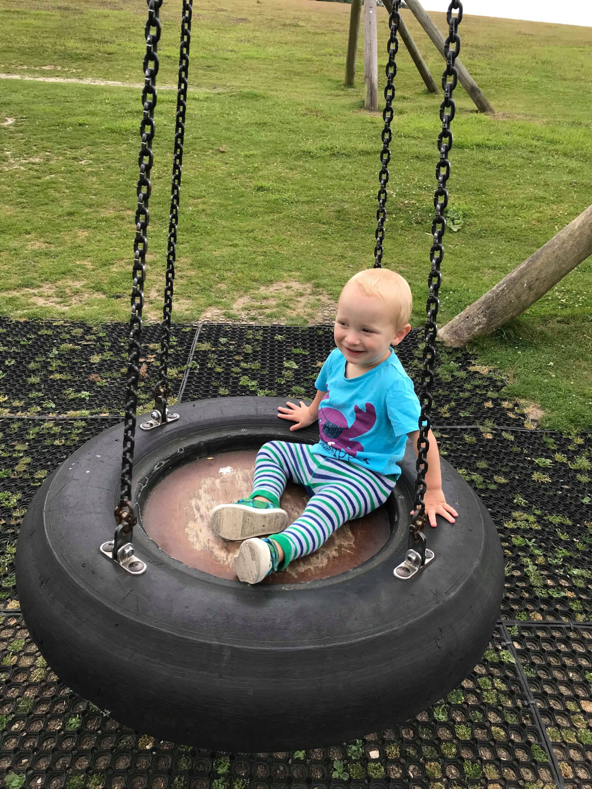 william on a tyre swing