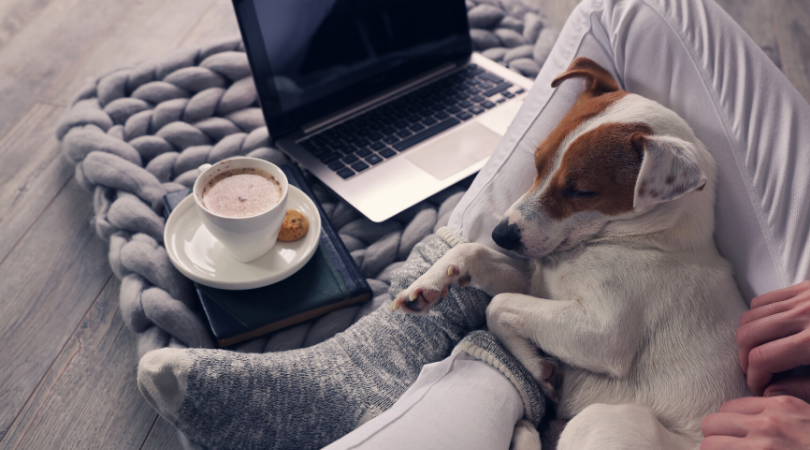 comfy clothes on legs with a dog asleep and a coffe and laptop