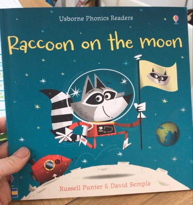 raccoon on the moon book