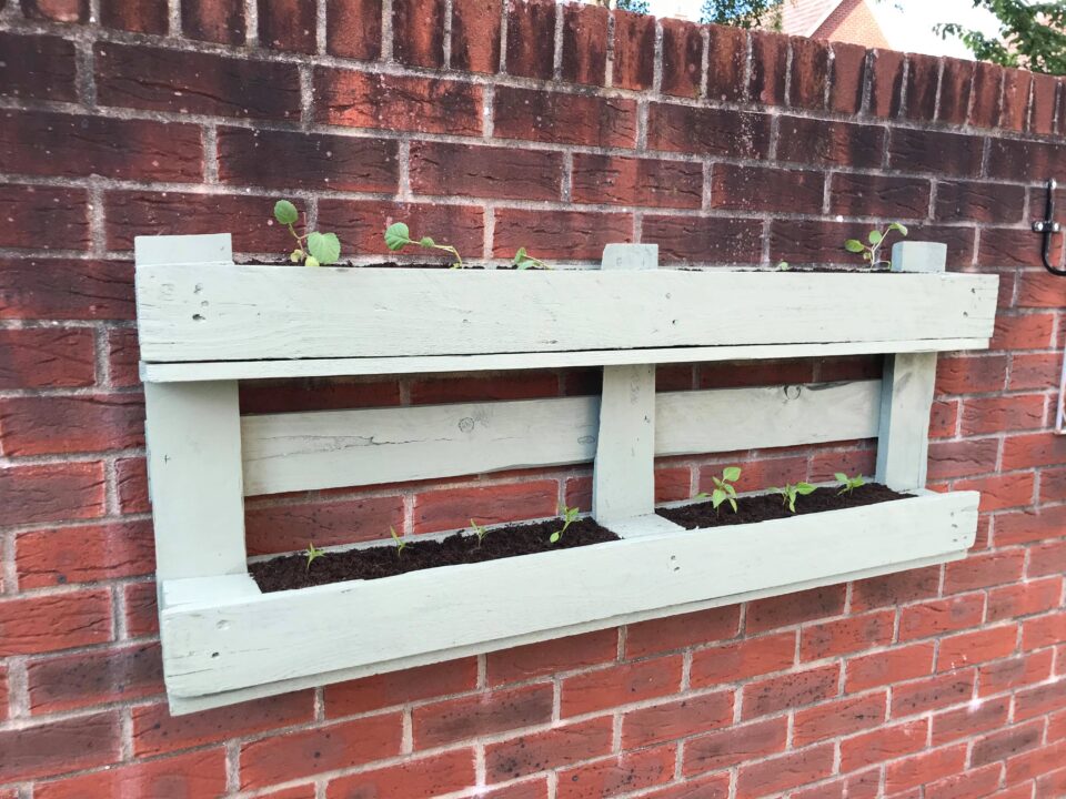 the pallet planter