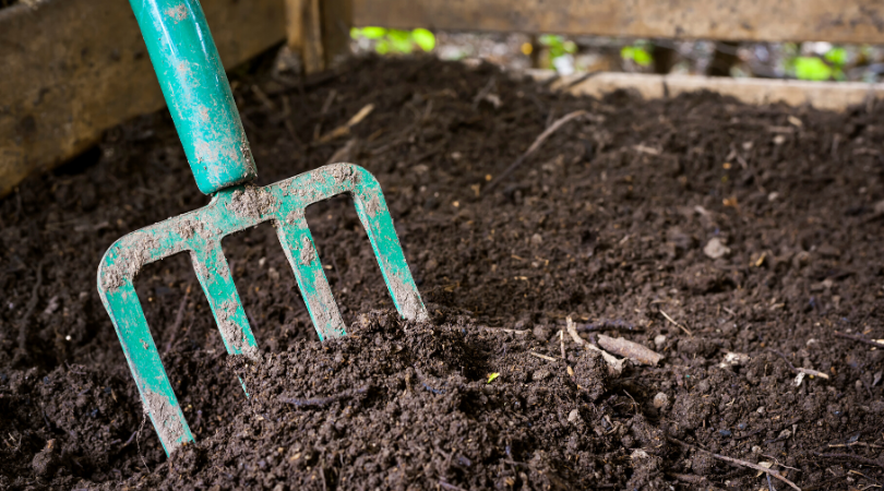 compost ready to use