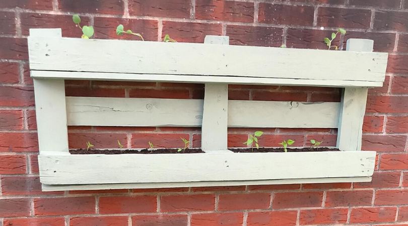 a pallet planter on a gardem wall