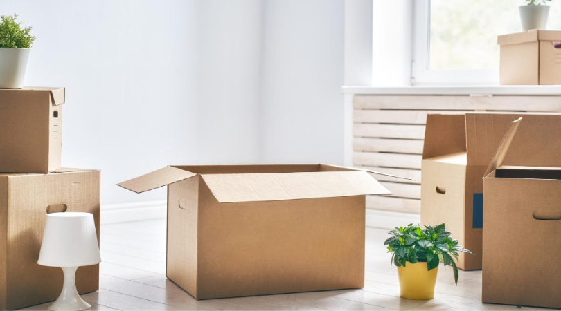 cardboard boxes for moving house with house plants nearby