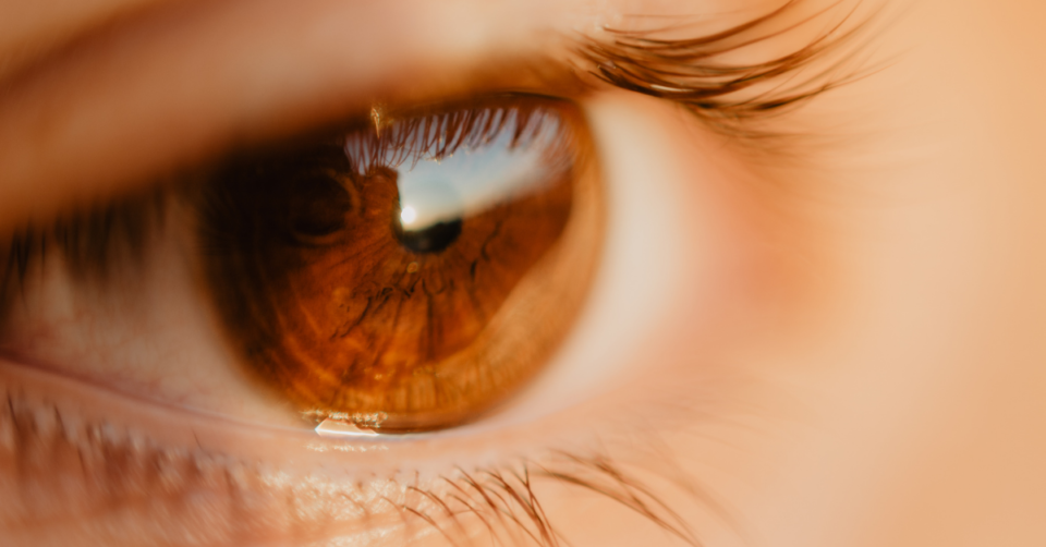 a brown eye