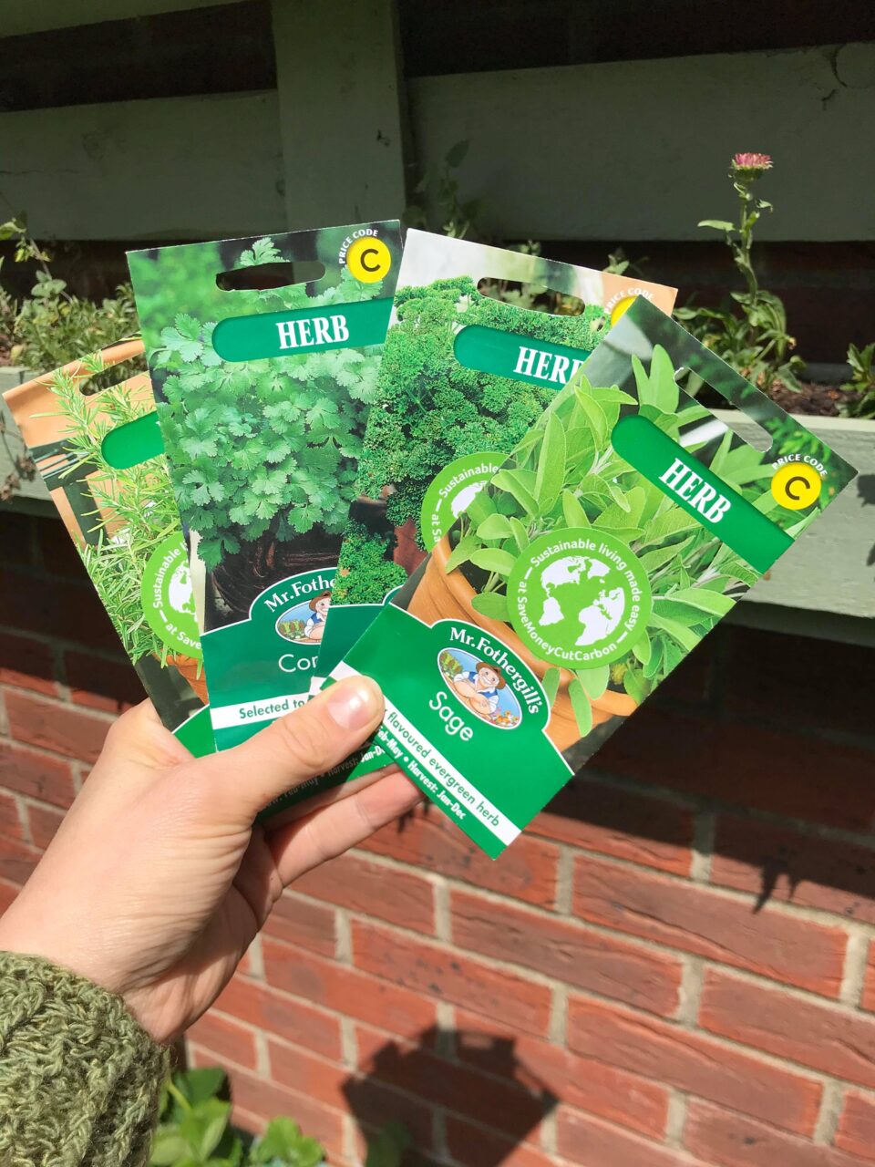 my hand holding a selection of seeds in front of a pallet planter