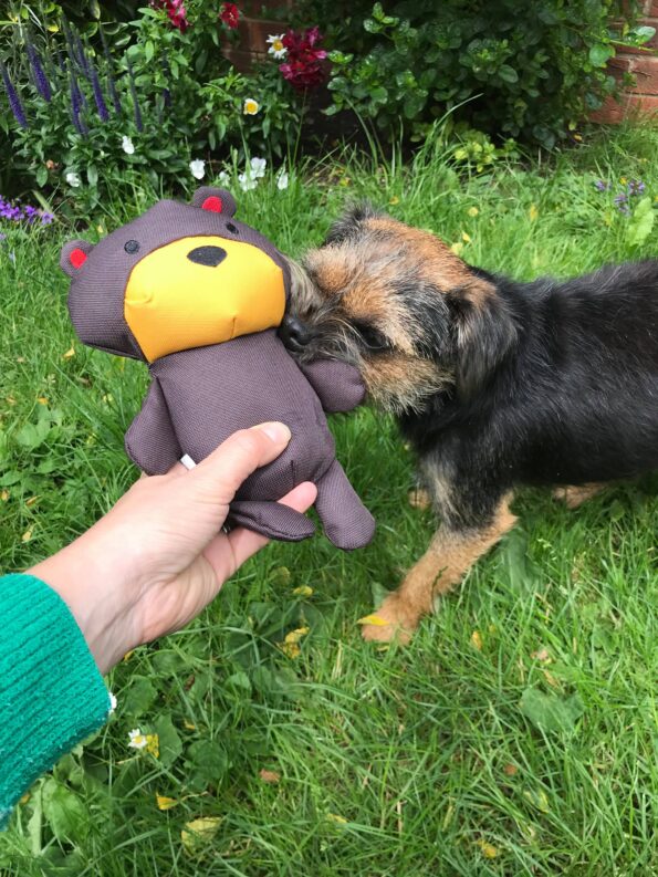 Tessa playing with her new eco-friendly dog toy which is a teddy