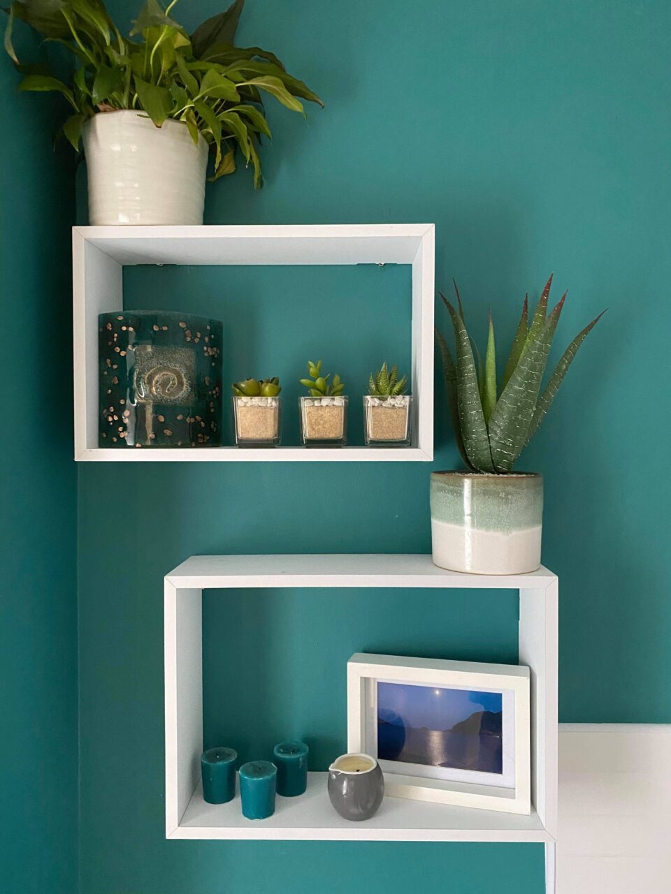 our shelves and plants and candles of the bathroom