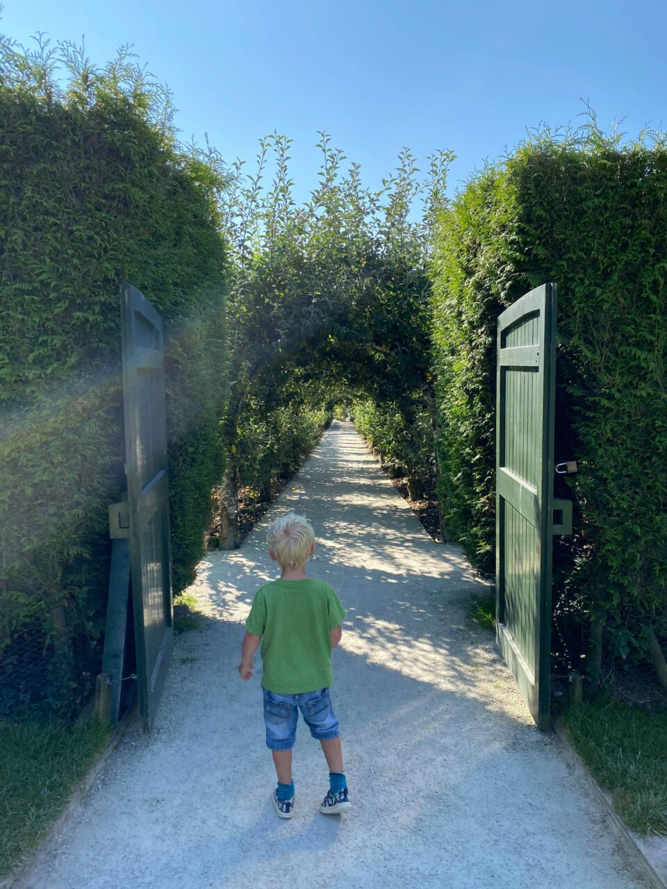 william looking into the gardens