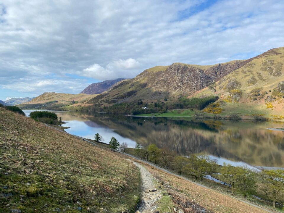 Buttermere view