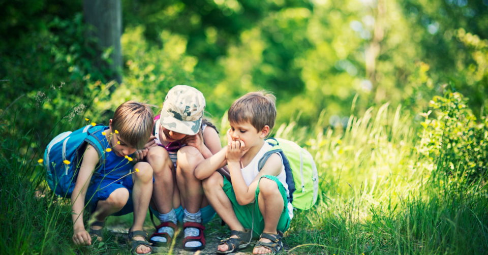 3 children in woods doing home school activities