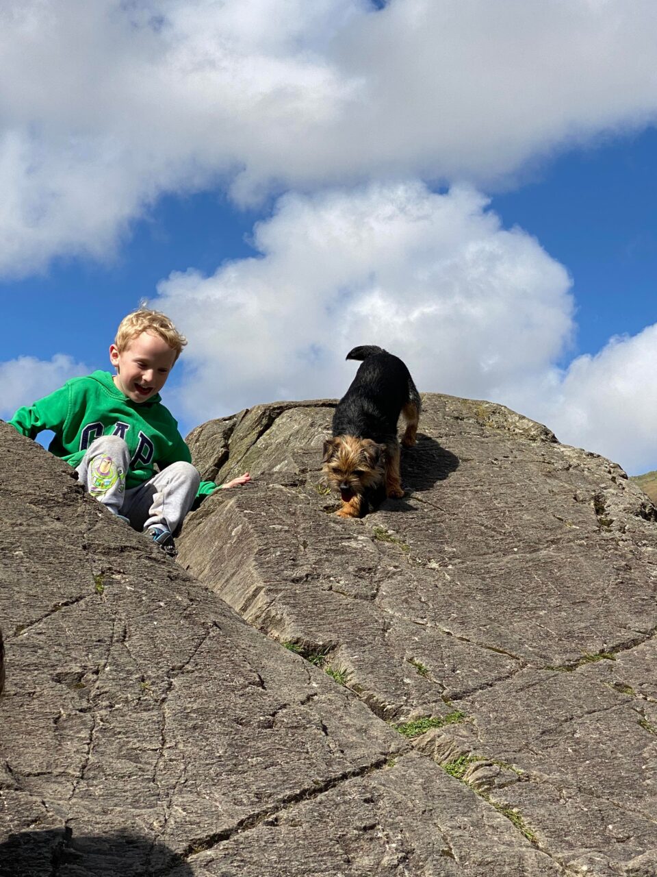 boy and dog climbing a rock