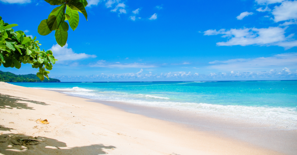 a stunning beach