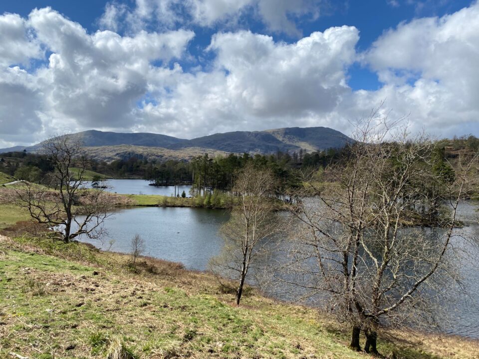 Tarn Hows