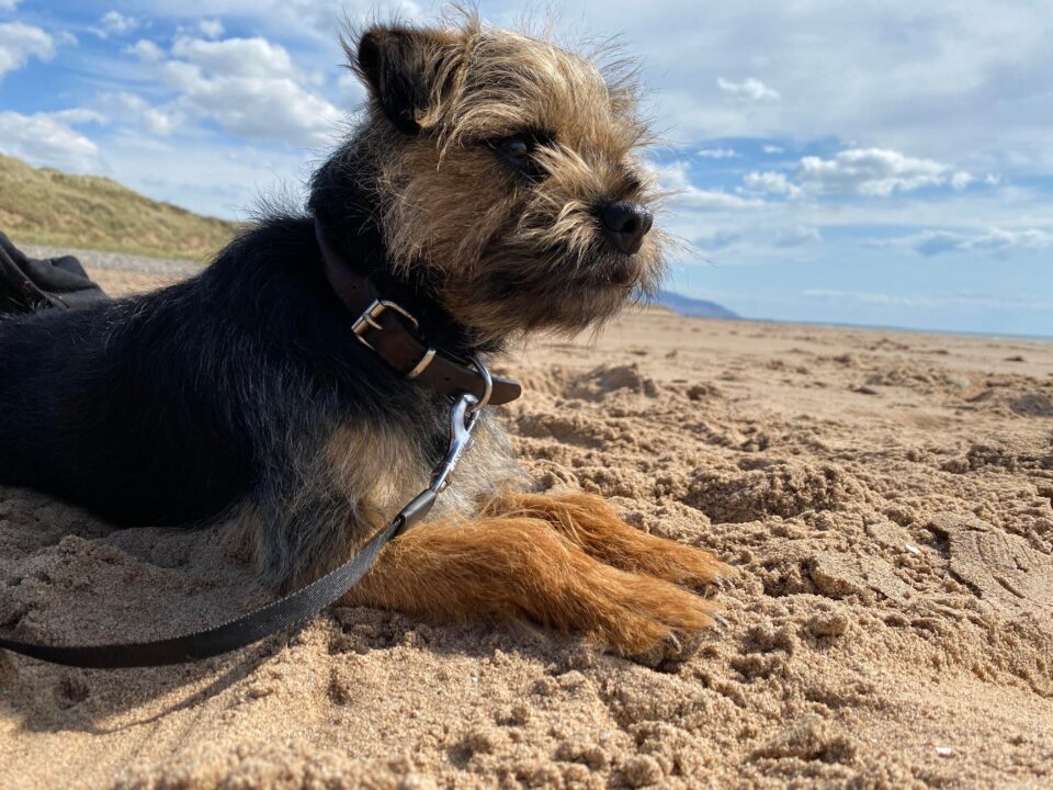 Tessa on a beach