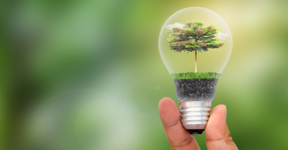 a bulb with a tree inside