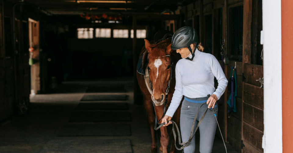 horse and stables