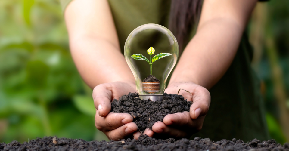 a bulb with a plant inside being held in hands
