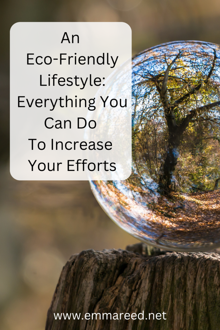 An Eco-Friendly Lifestyle: Everything You Can Do To Increase Your ...