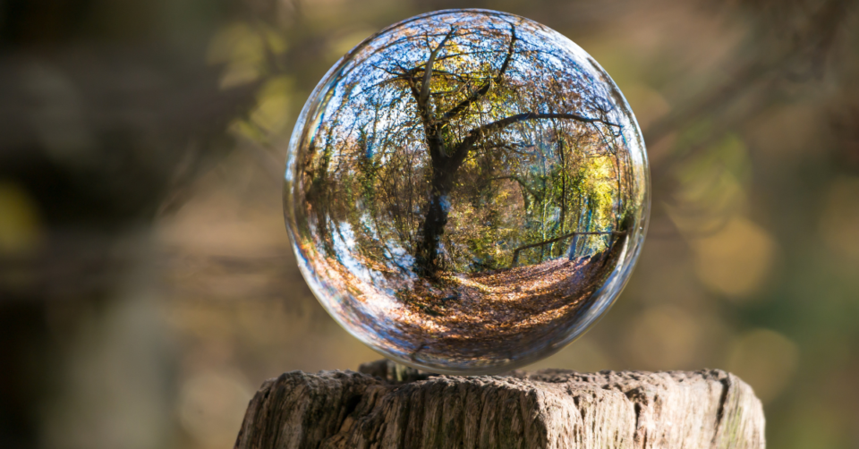 glass ball with tree reflection inside