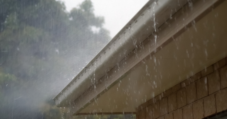 gutter and rain