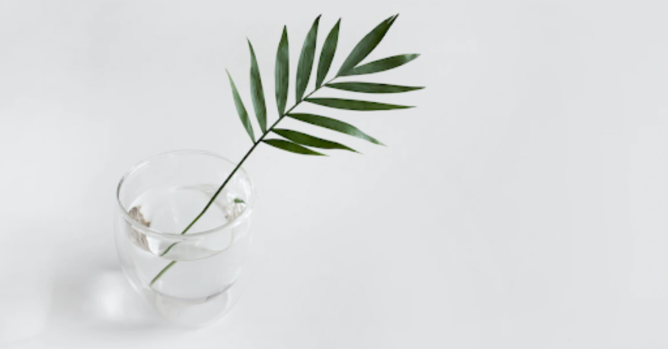 leaf in a glass