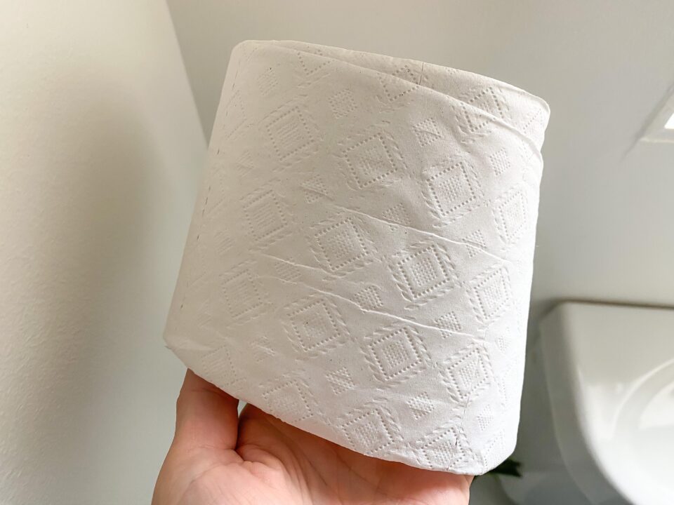 8 Best Who Gives A Crap Toilet Paper for 2024