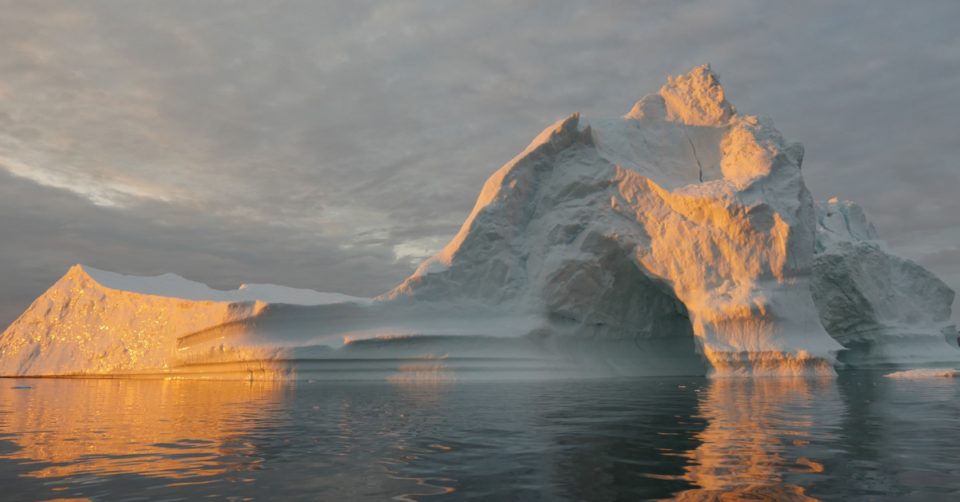 polar ice caps