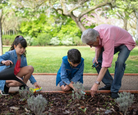 planting with kids in the garden