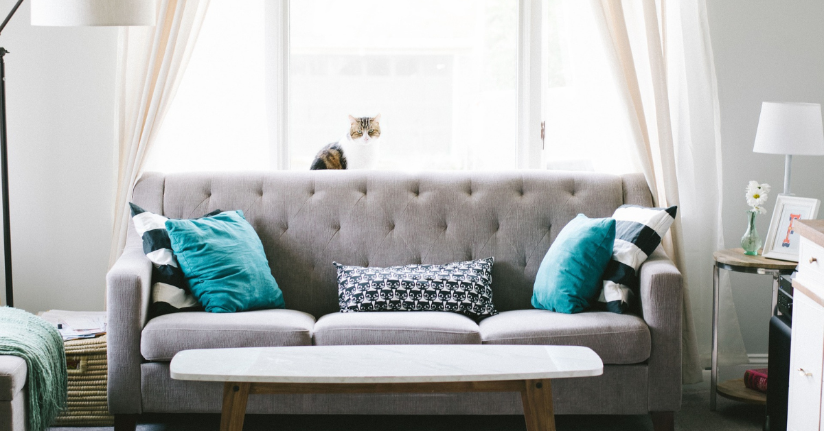 a living room with grey couch and cushions