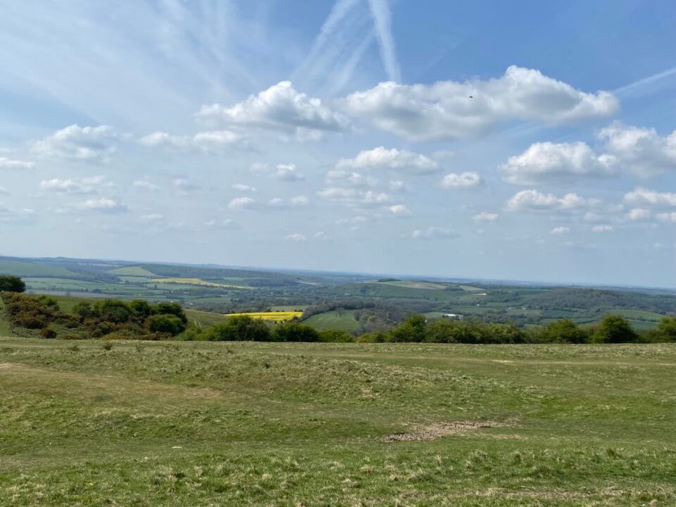 view from the top of Butser Hill